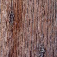 Cypress Tree Energy