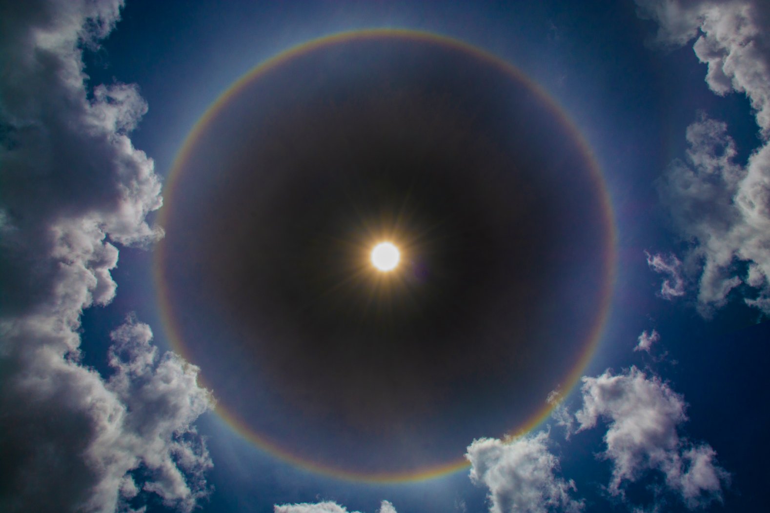 Die Sonne - Ursprung alles Lebens